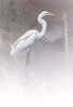 Crane