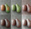 Pears